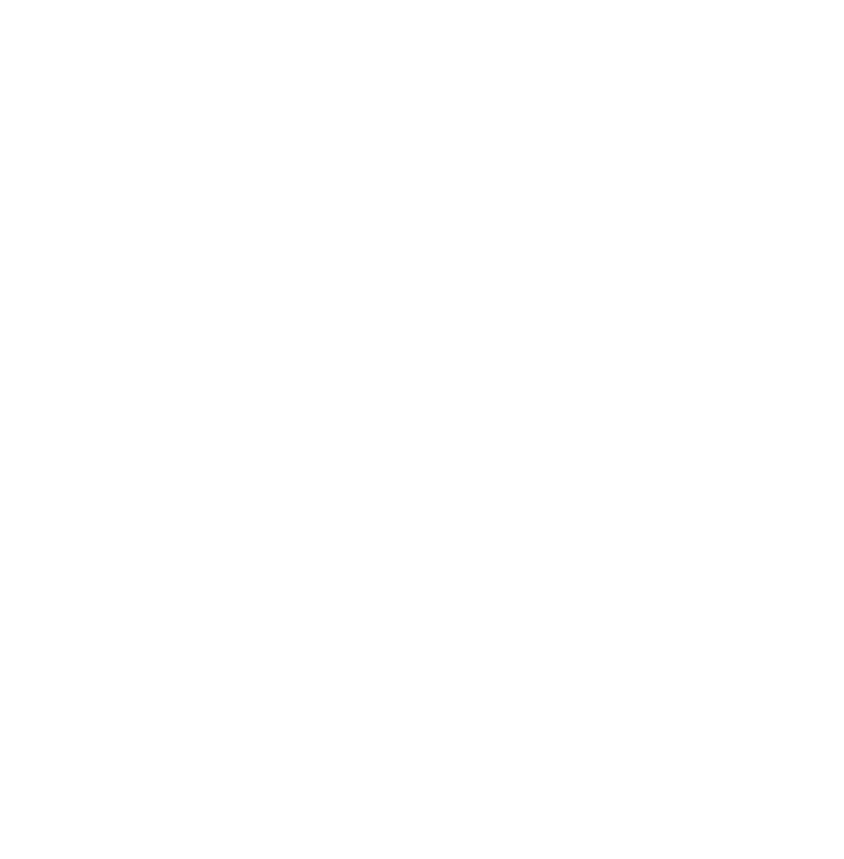 Platinum Padel Logo